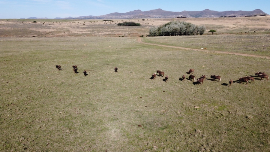 Commercial Property for Sale in Paul Roux Free State